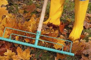 Les secrets du jardinage: travail d'automne dans le jardin et potager