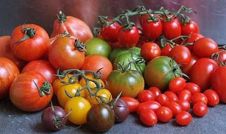 les bienfaits des tomates