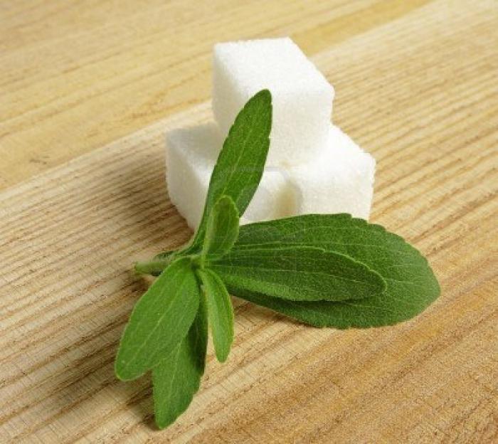 Stevia: avantages et inconvénients, contre-indications